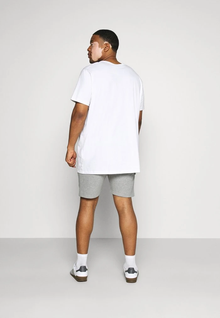 Sortie đ INDICODE JEANS BRENNAN PLUS - Short - Light Grey đ â Image 3